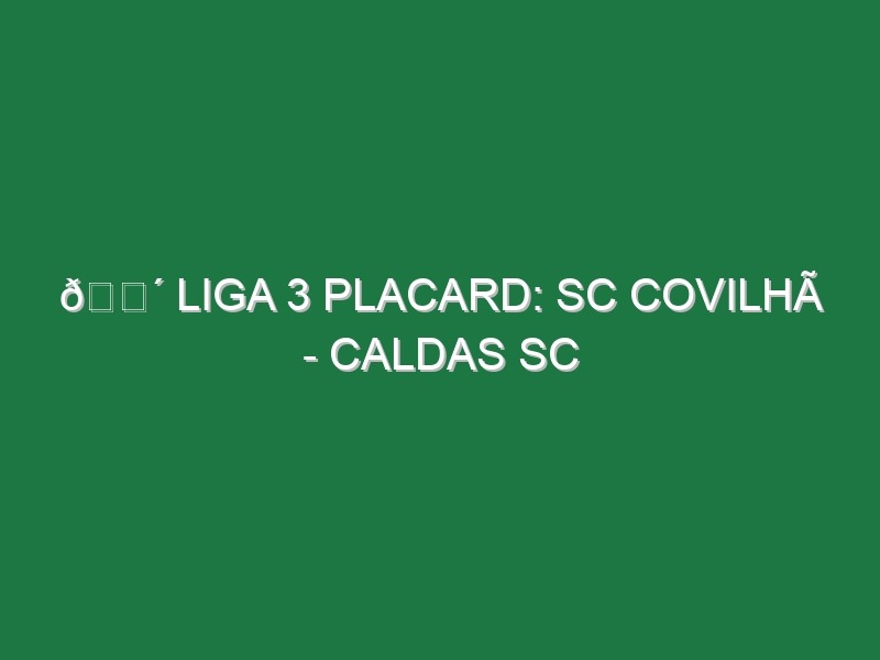 🔴 LIGA 3 PLACARD: SC COVILHÃ – CALDAS SC