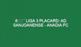 🔴 LIGA 3 PLACARD: AD SANJOANENSE – ANADIA FC