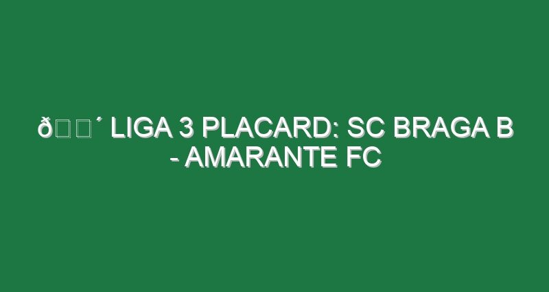 🔴 LIGA 3 PLACARD: SC BRAGA B – AMARANTE FC