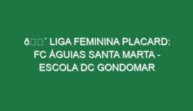 🔴 LIGA FEMININA PLACARD: FC ÁGUIAS SANTA MARTA – ESCOLA DC GONDOMAR