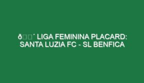 🔴 LIGA FEMININA PLACARD: SANTA LUZIA FC – SL BENFICA