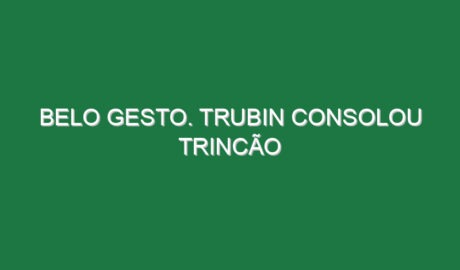 Belo gesto. Trubin consolou Trincão